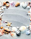 Sfondi Australian Seashells Favors 128x160