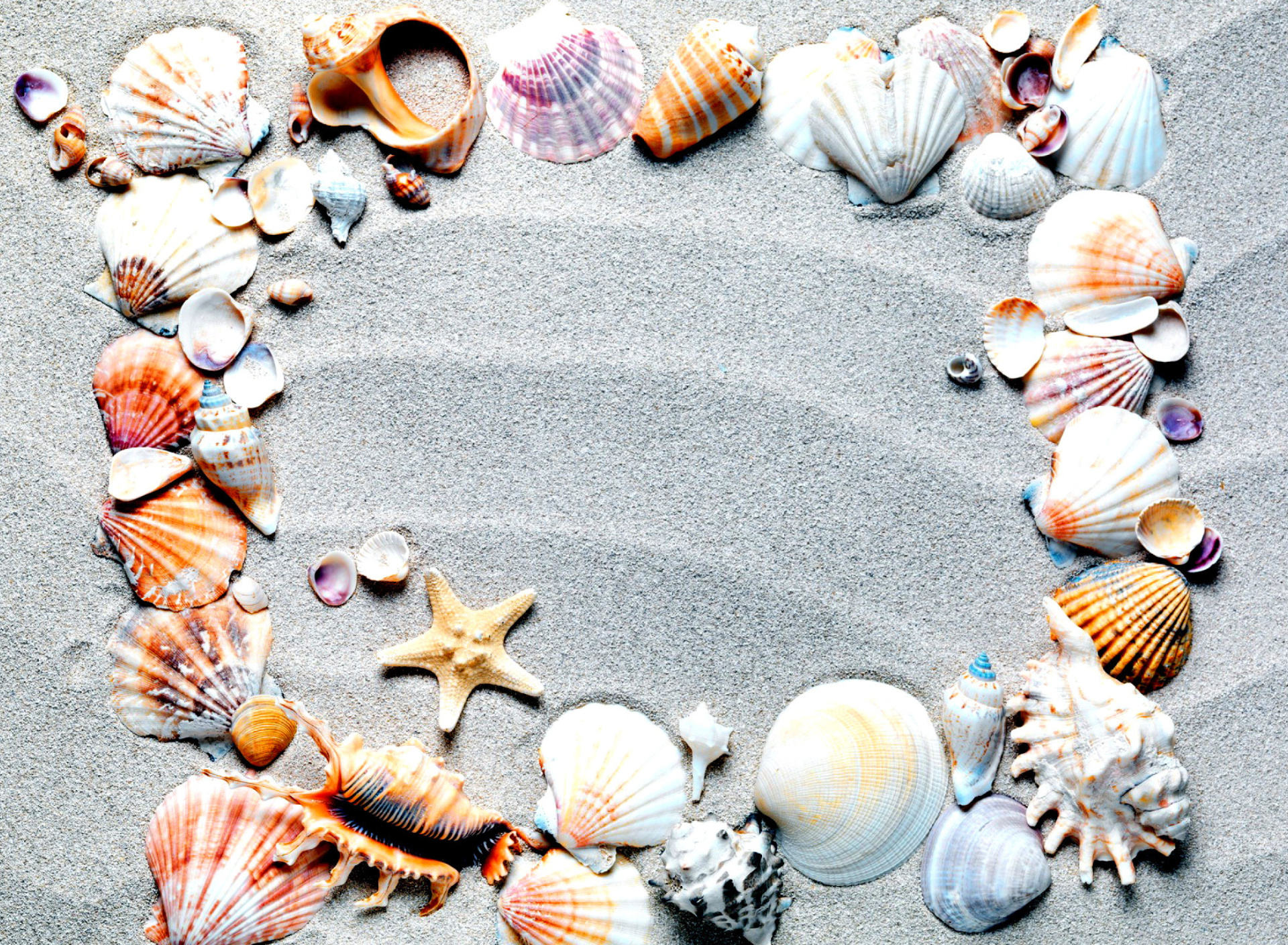 Sfondi Australian Seashells Favors 1920x1408