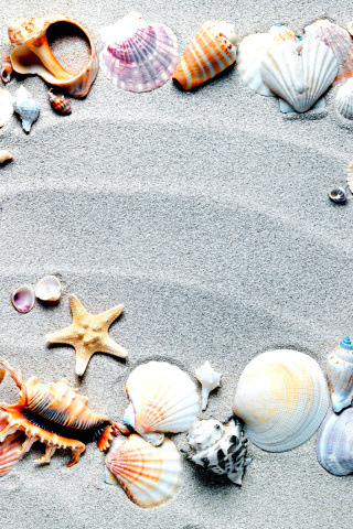 Fondo de pantalla Australian Seashells Favors 320x480