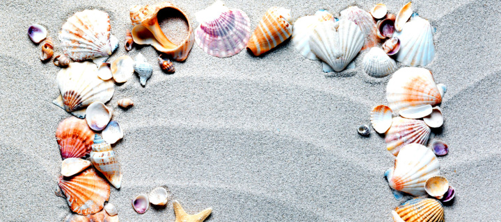 Sfondi Australian Seashells Favors 720x320