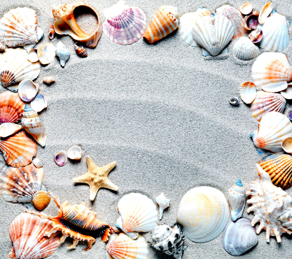 Das Australian Seashells Favors Wallpaper 960x854