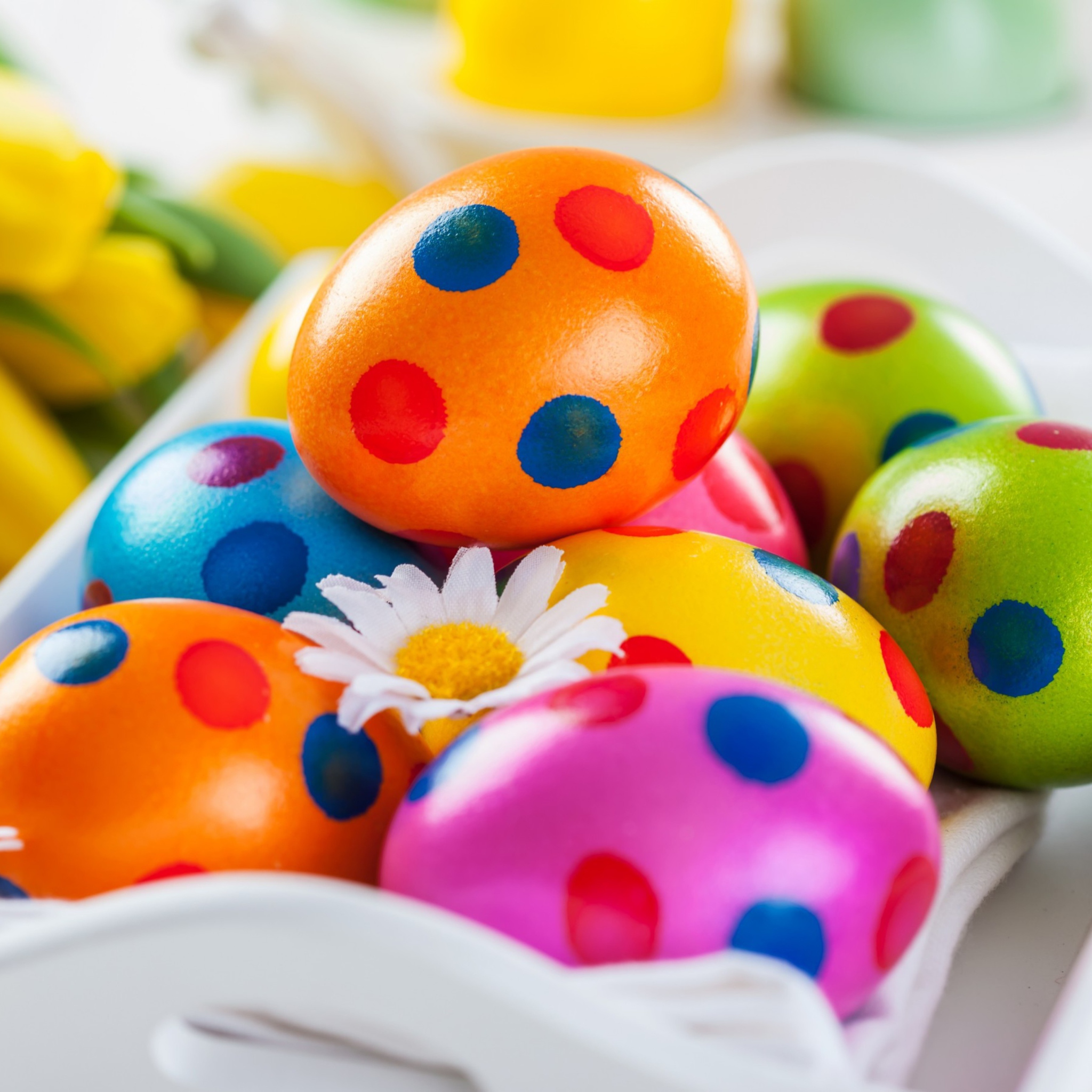 Das Colorful Polka Dot Easter Eggs Wallpaper 2048x2048