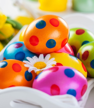 Colorful Polka Dot Easter Eggs sfondi gratuiti per 320x480