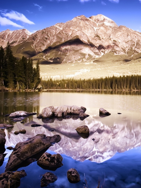 Mirror Lake screenshot #1 480x640