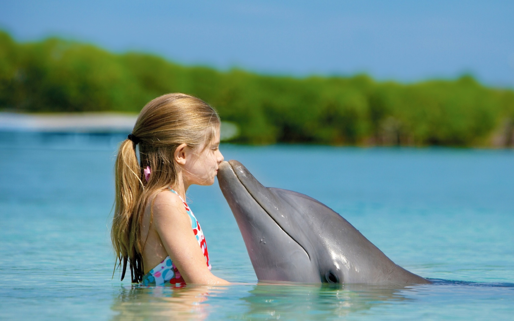 Fondo de pantalla Girl and dolphin kiss 1680x1050