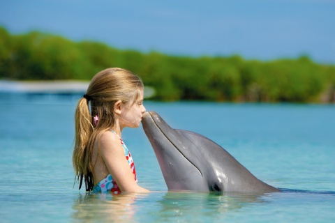 Fondo de pantalla Girl and dolphin kiss 480x320