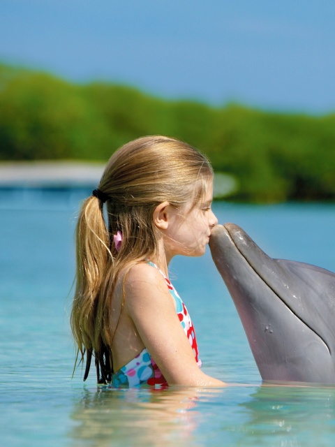 Girl and dolphin kiss wallpaper 480x640