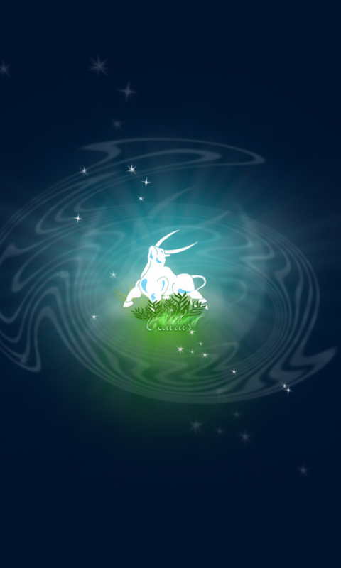 Das Taurus Wallpaper 480x800