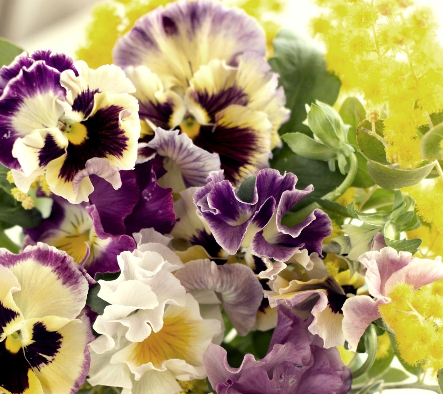 Screenshot №1 pro téma Flowers Pansies 1440x1280