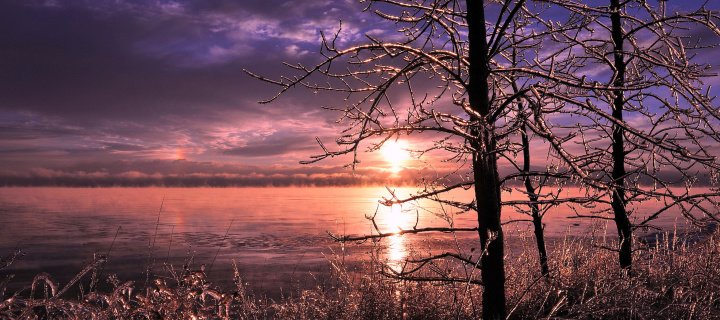 Das Frozen Trees near Lake in Canada Wallpaper 720x320