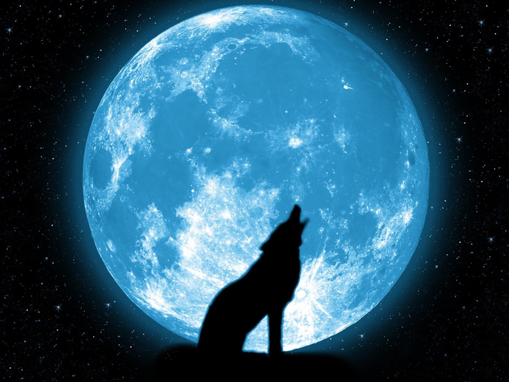 Das Wolf And Full Moon Wallpaper 1024x768
