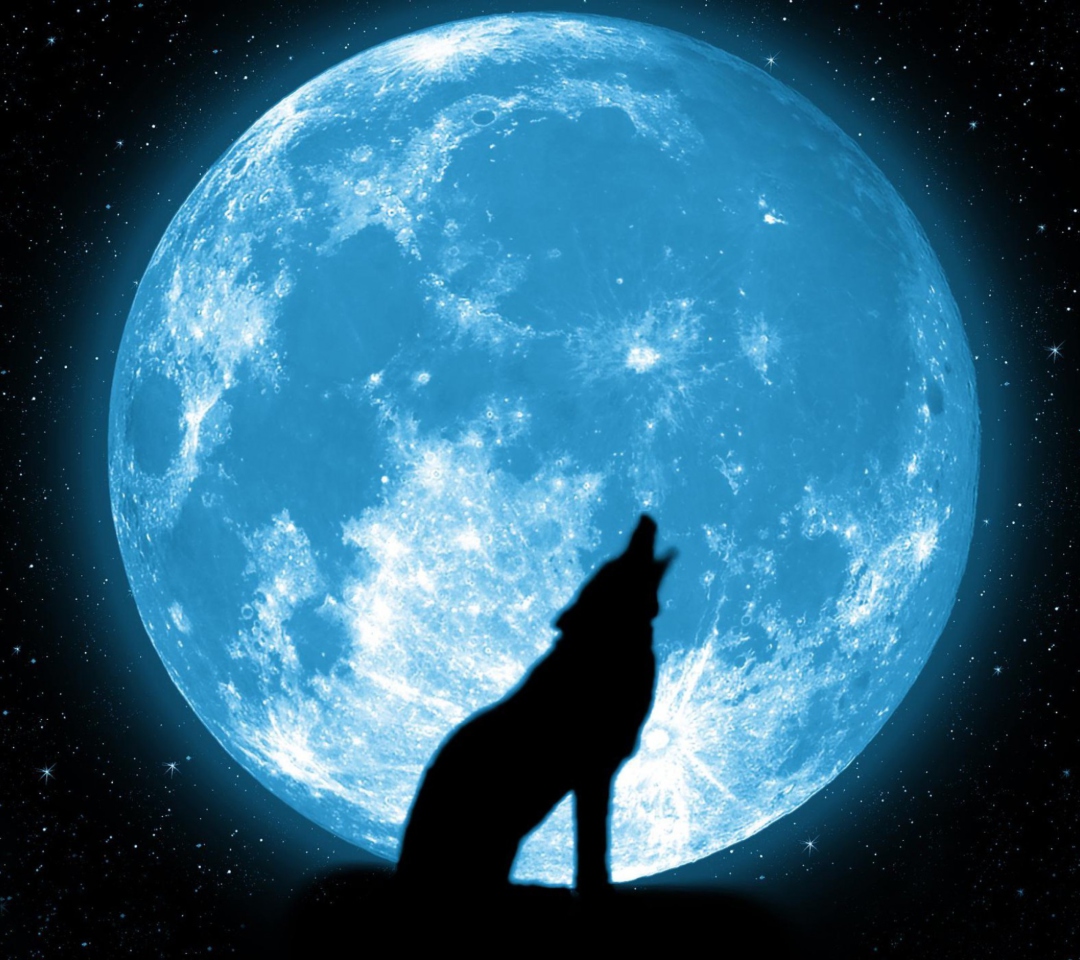 Sfondi Wolf And Full Moon 1080x960