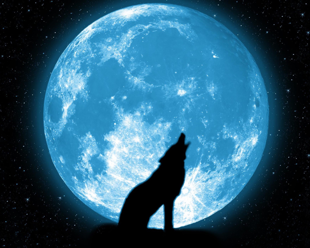 Wolf And Full Moon wallpaper 1280x1024