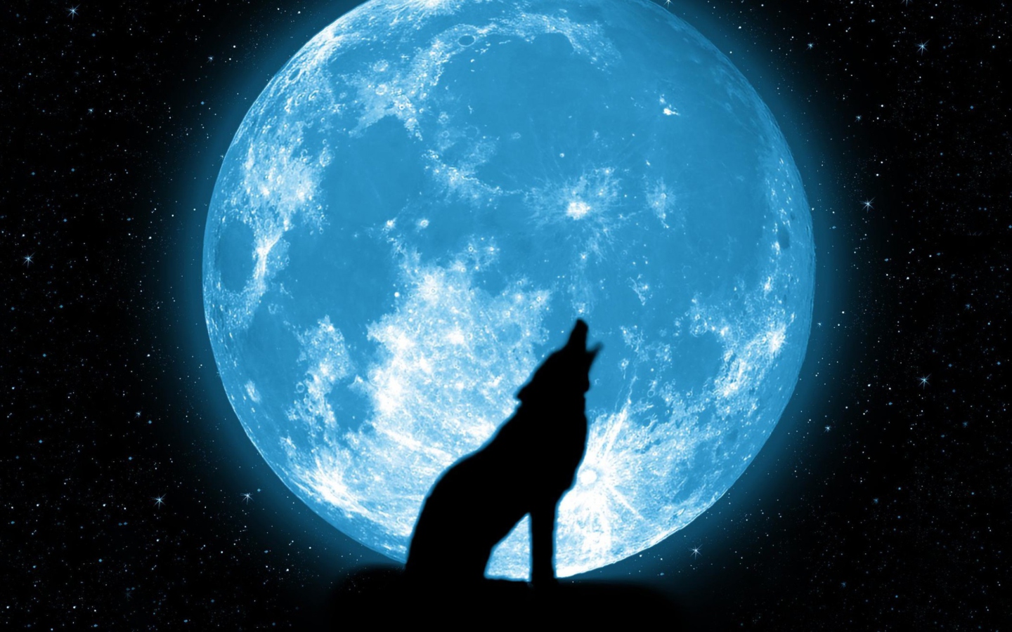 Wolf And Full Moon wallpaper 1440x900