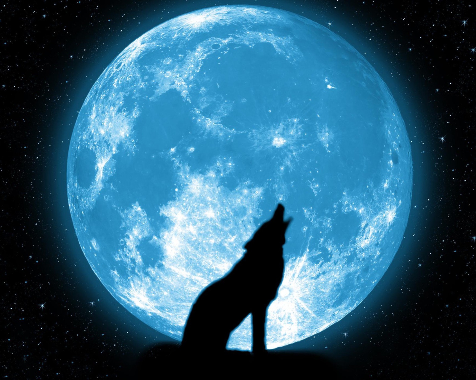 Das Wolf And Full Moon Wallpaper 1600x1280
