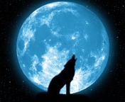 Das Wolf And Full Moon Wallpaper 176x144