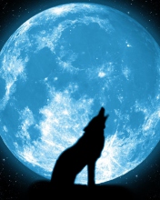 Das Wolf And Full Moon Wallpaper 176x220