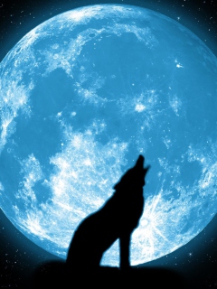 Das Wolf And Full Moon Wallpaper 240x320