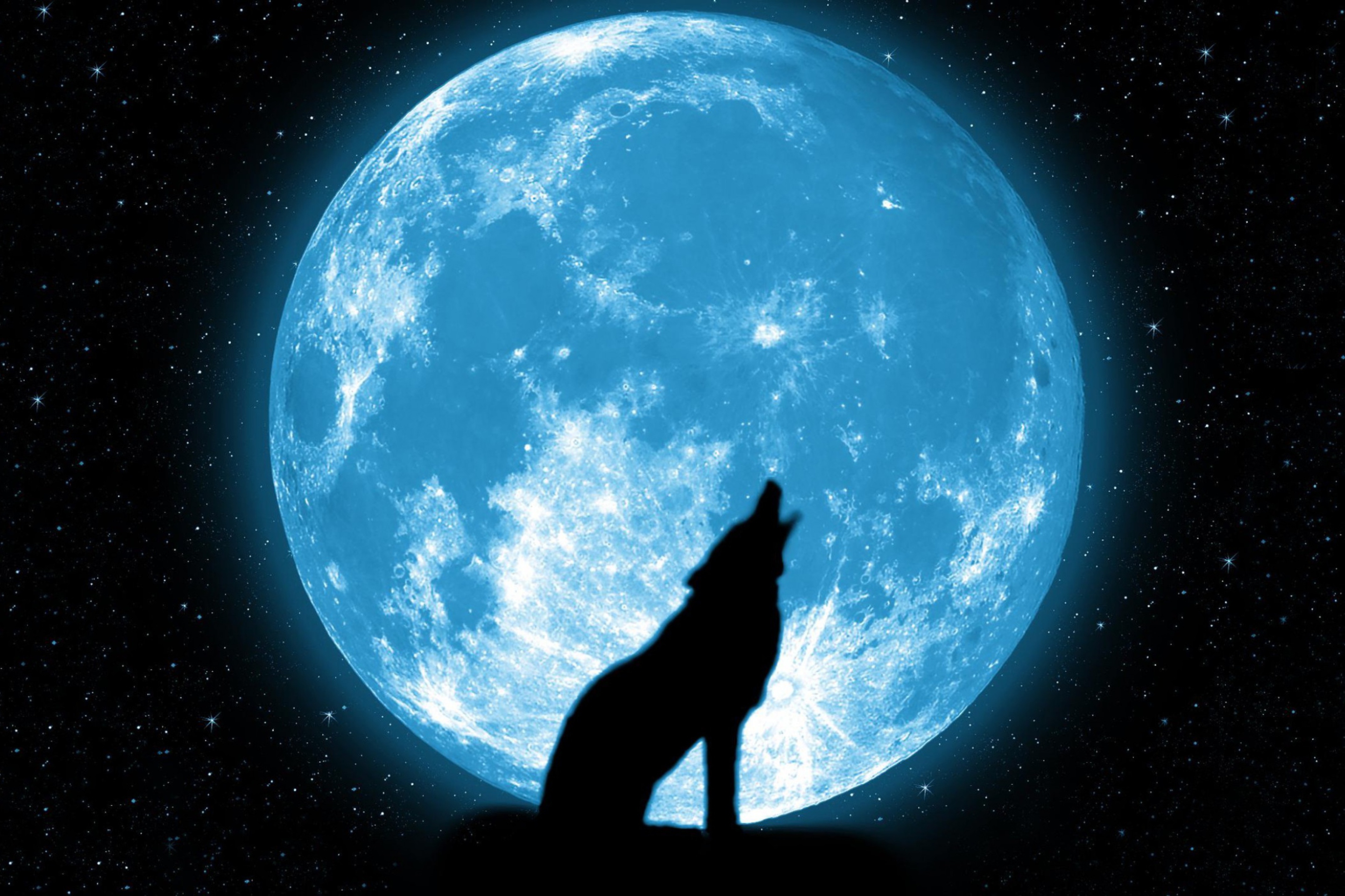 Das Wolf And Full Moon Wallpaper 2880x1920