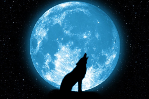 Das Wolf And Full Moon Wallpaper 480x320