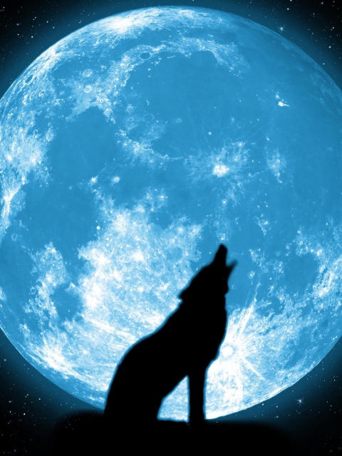 Wolf And Full Moon wallpaper 480x640