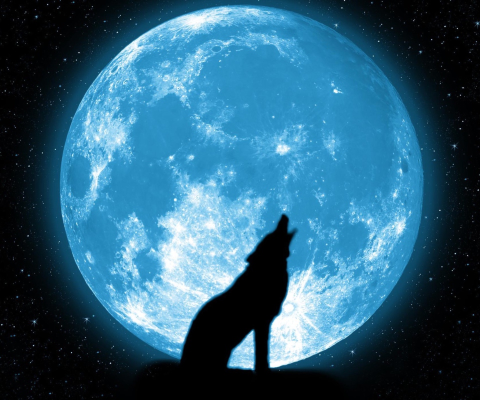 Обои Wolf And Full Moon 960x800
