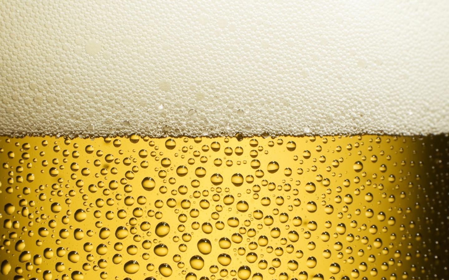 Das Take a Beer Wallpaper 1440x900