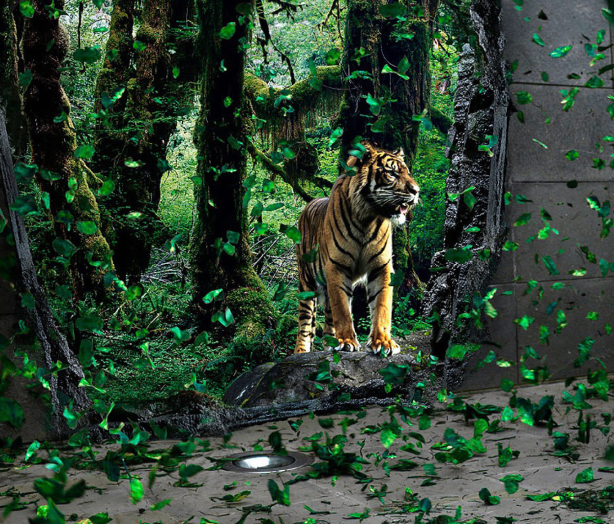 Das Tiger Running Free Wallpaper 1200x1024