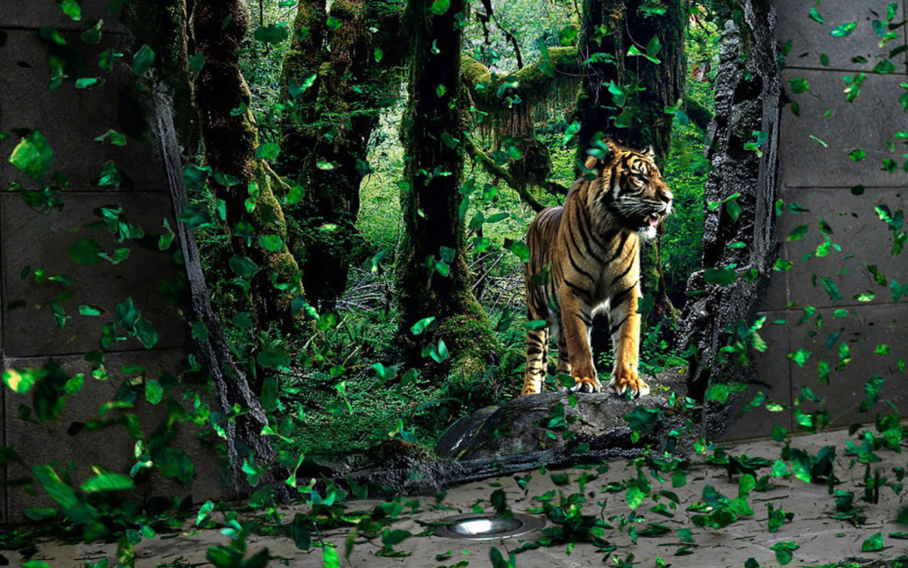 Tiger Running Free wallpaper 1280x800