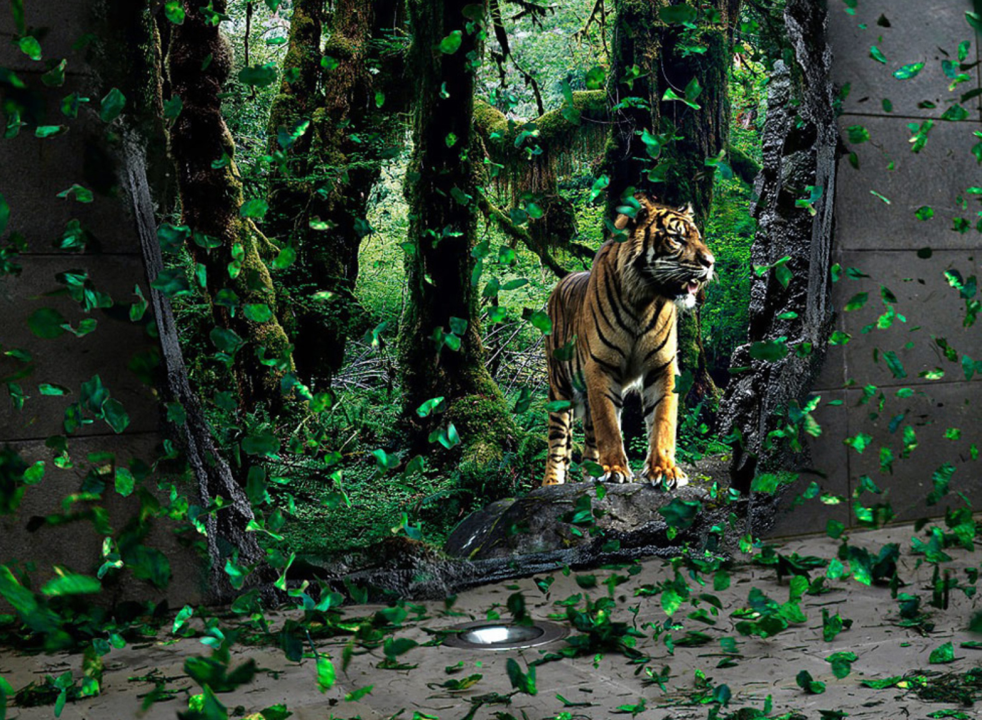 Das Tiger Running Free Wallpaper 1920x1408