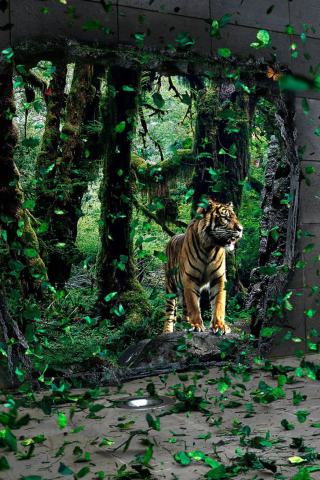 Das Tiger Running Free Wallpaper 320x480