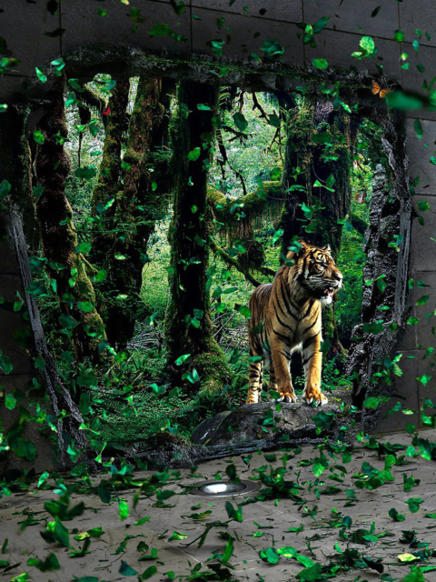Das Tiger Running Free Wallpaper 480x640