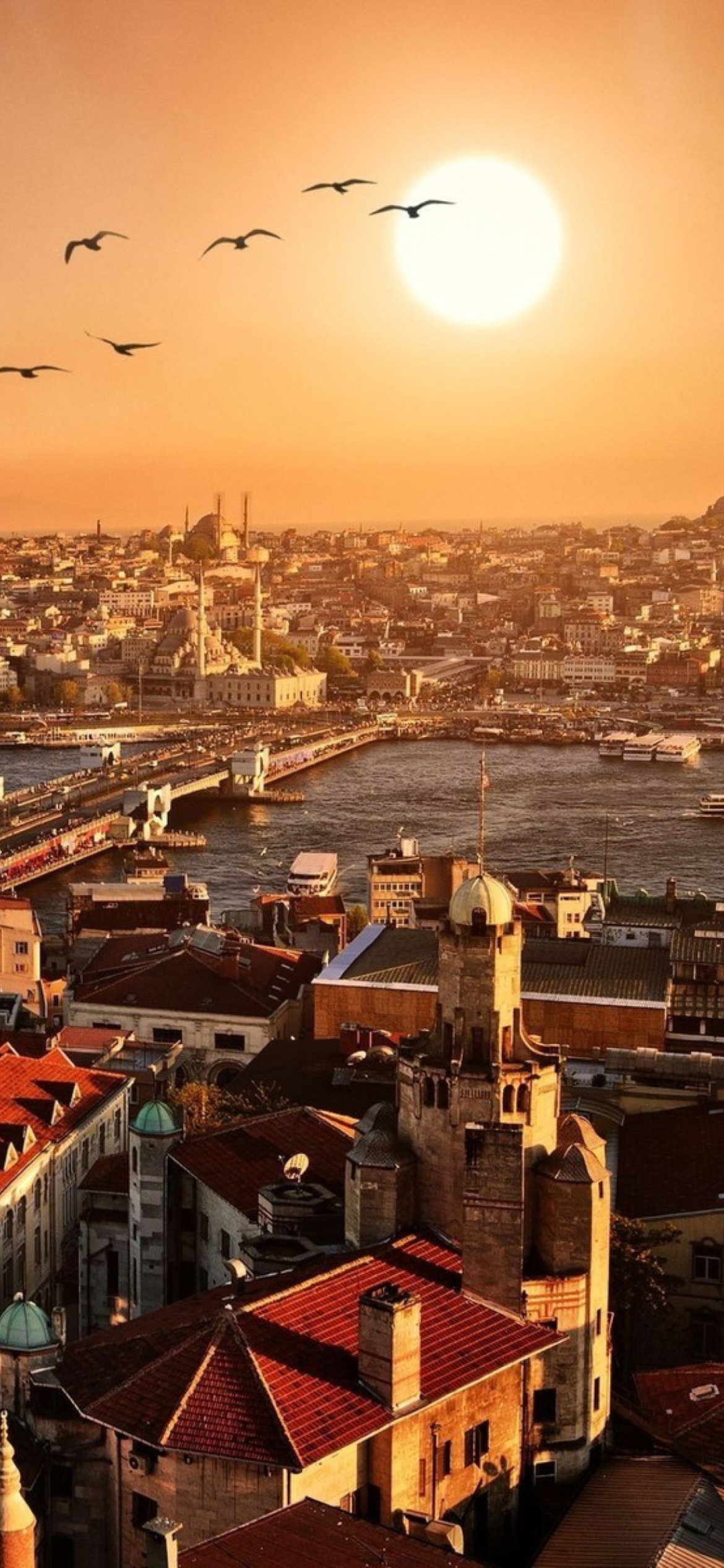 Istanbul Turkey screenshot #1 1170x2532