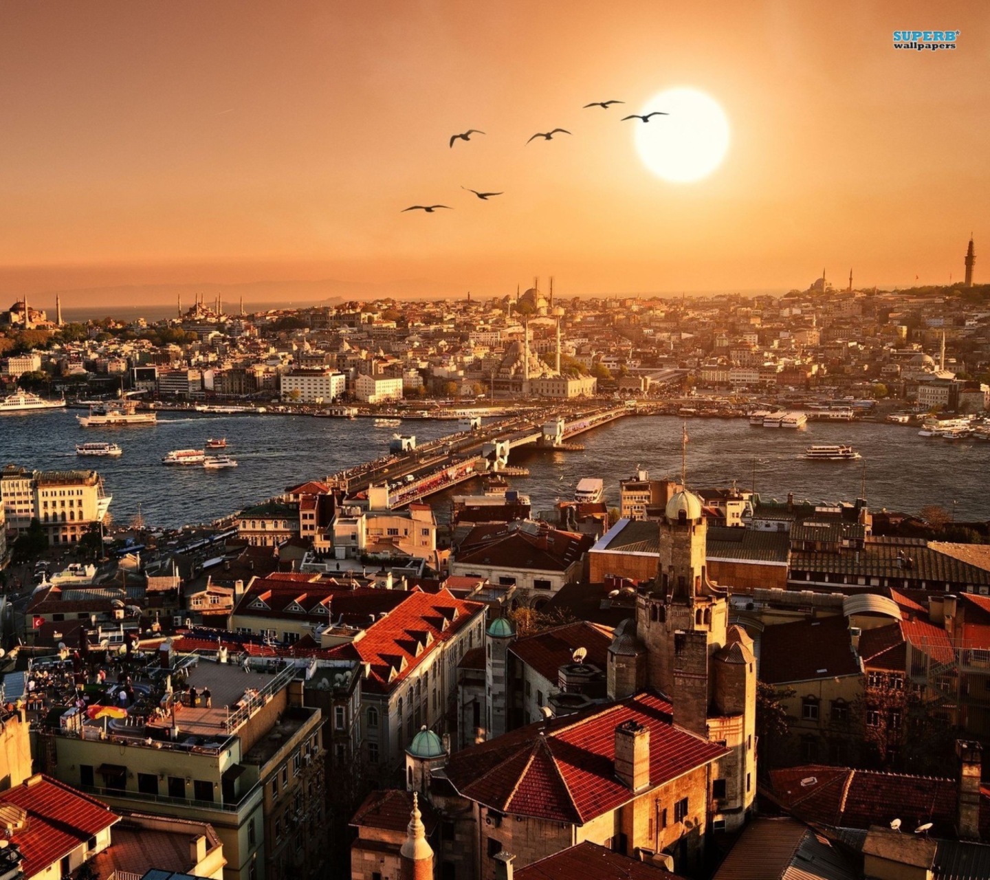 Fondo de pantalla Istanbul Turkey 1440x1280