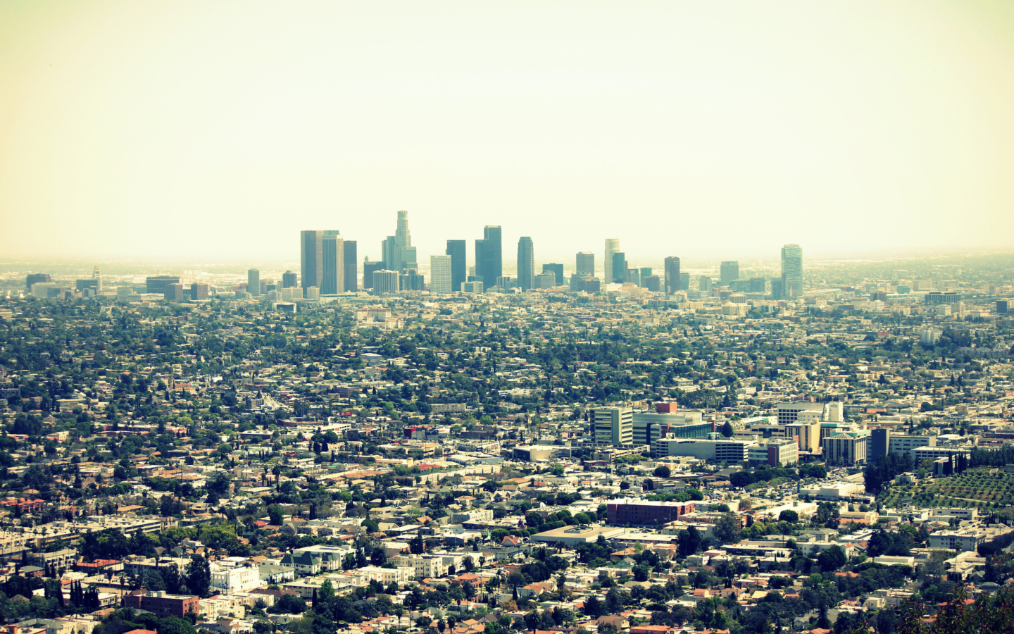 California, Los Angeles wallpaper 1440x900