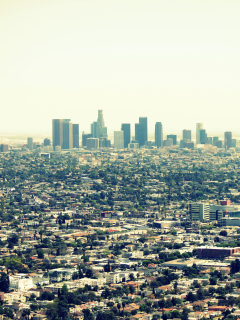 Das California, Los Angeles Wallpaper 240x320