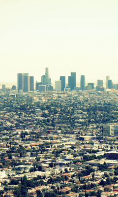 California, Los Angeles screenshot #1 240x400