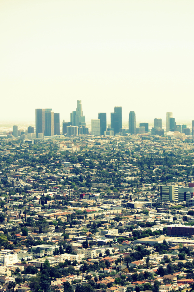 Das California, Los Angeles Wallpaper 640x960