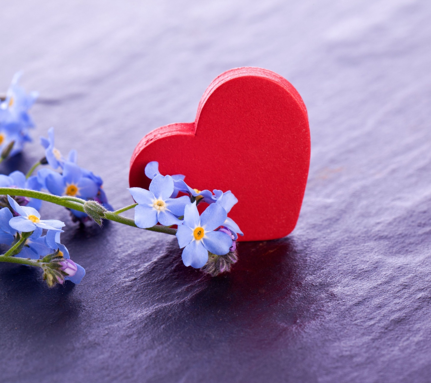 Heart And Flowers wallpaper 1440x1280