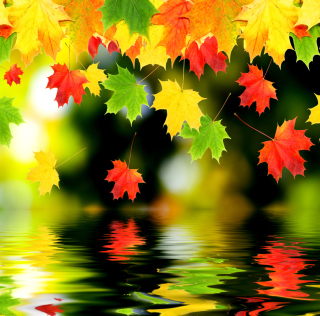 Treetops In Autumn - Obrázkek zdarma pro 1024x1024