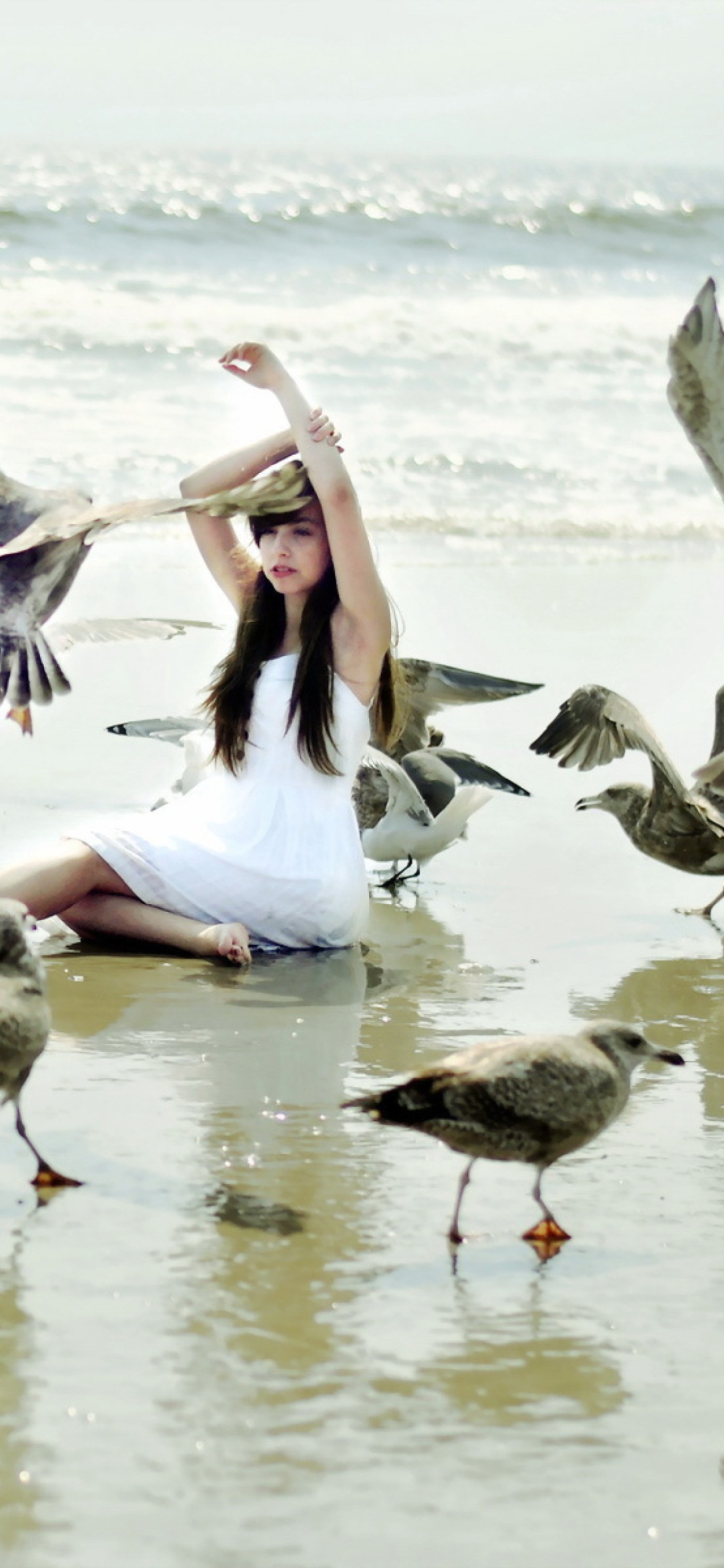 Das Girl And Seagulls On Beach Wallpaper 1170x2532