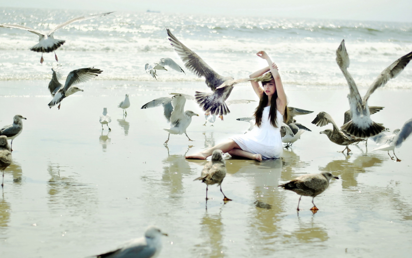 Sfondi Girl And Seagulls On Beach 1440x900