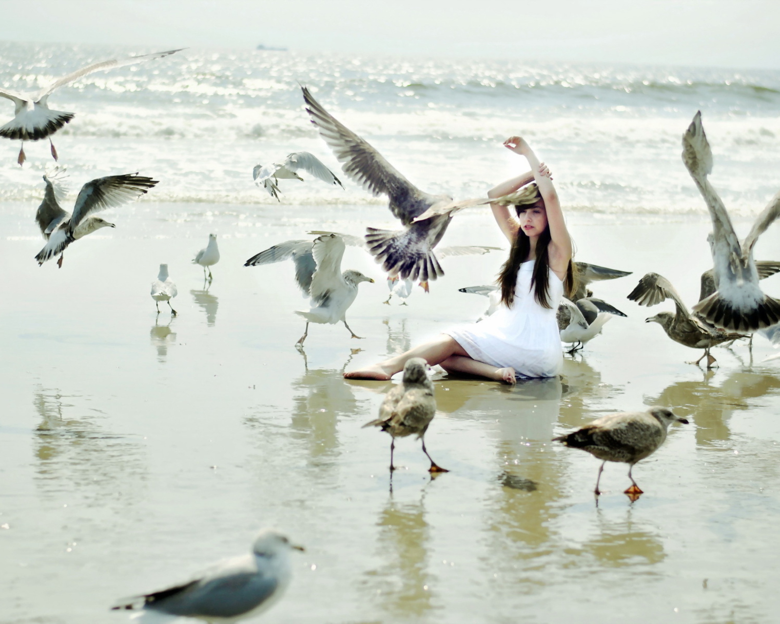 Das Girl And Seagulls On Beach Wallpaper 1600x1280