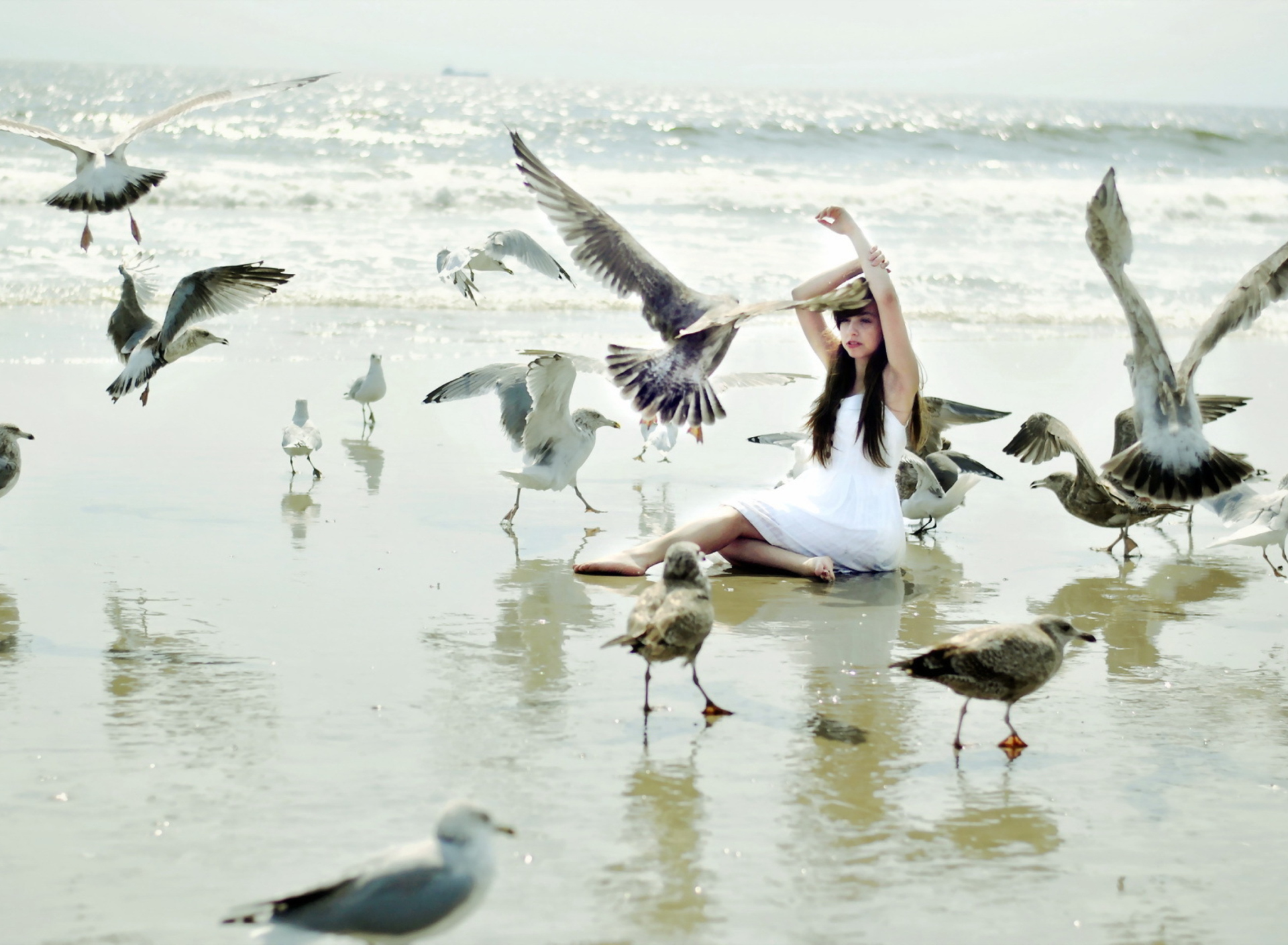 Обои Girl And Seagulls On Beach 1920x1408