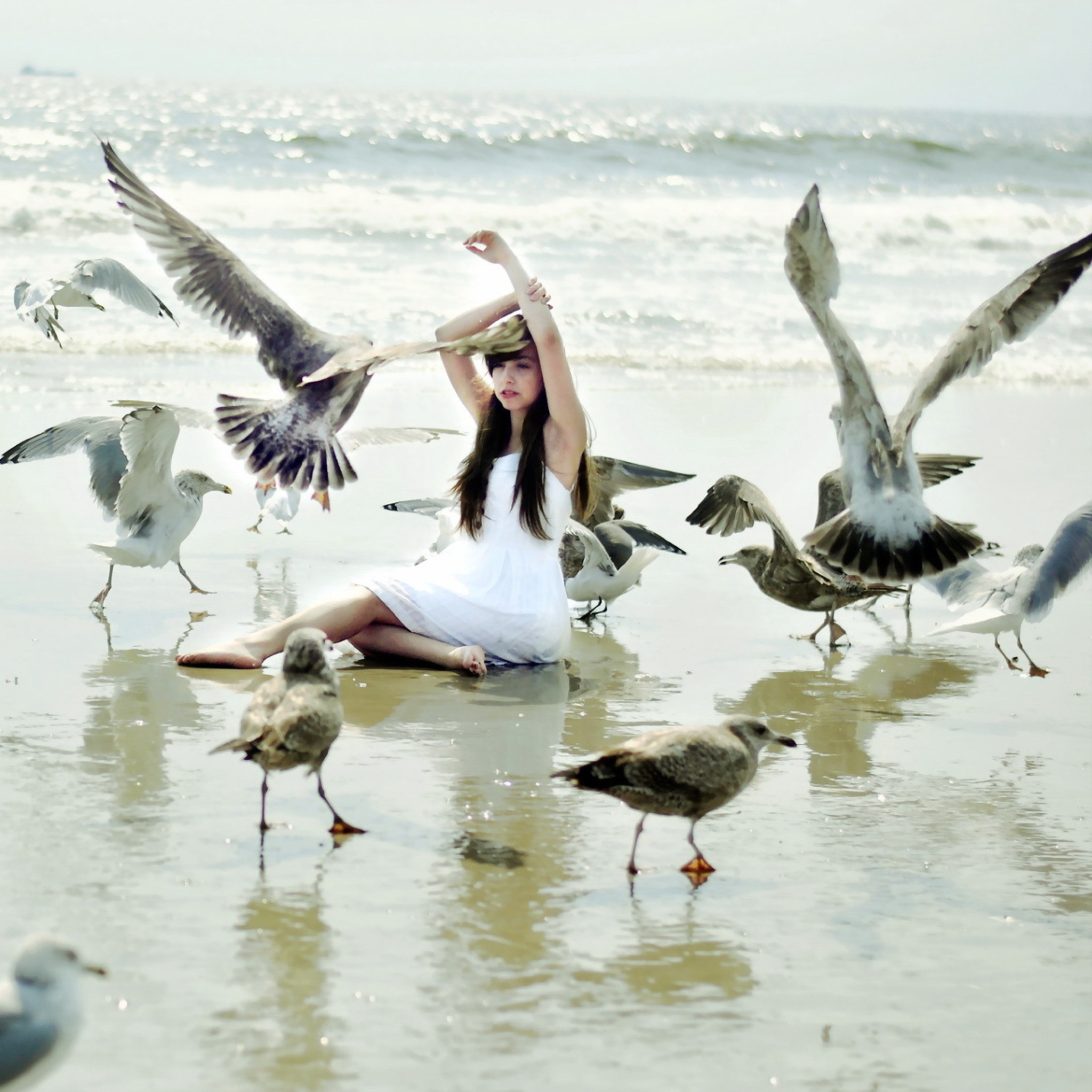 Обои Girl And Seagulls On Beach 2048x2048