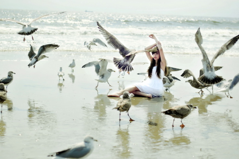 Fondo de pantalla Girl And Seagulls On Beach 480x320