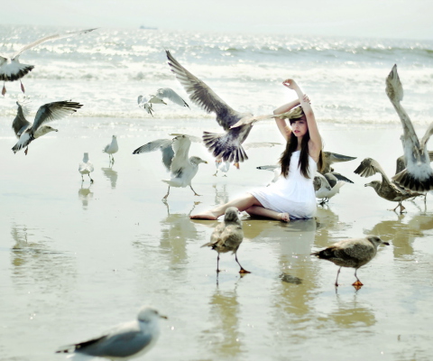 Das Girl And Seagulls On Beach Wallpaper 480x400