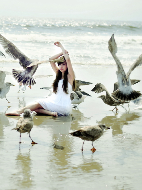 Das Girl And Seagulls On Beach Wallpaper 480x640
