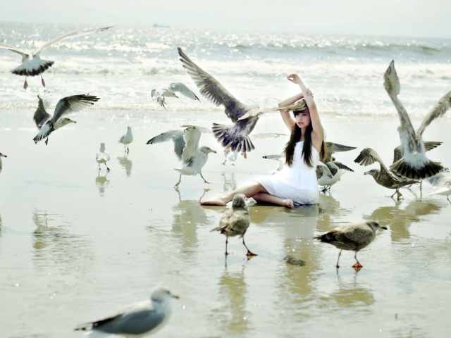 Fondo de pantalla Girl And Seagulls On Beach 640x480