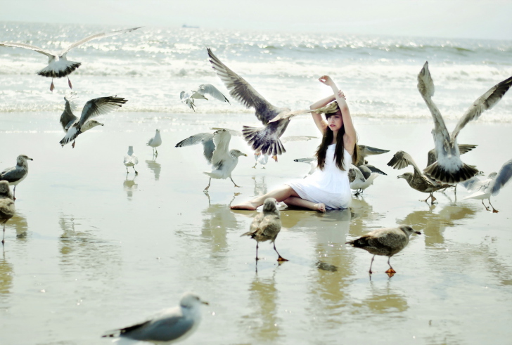 Обои Girl And Seagulls On Beach